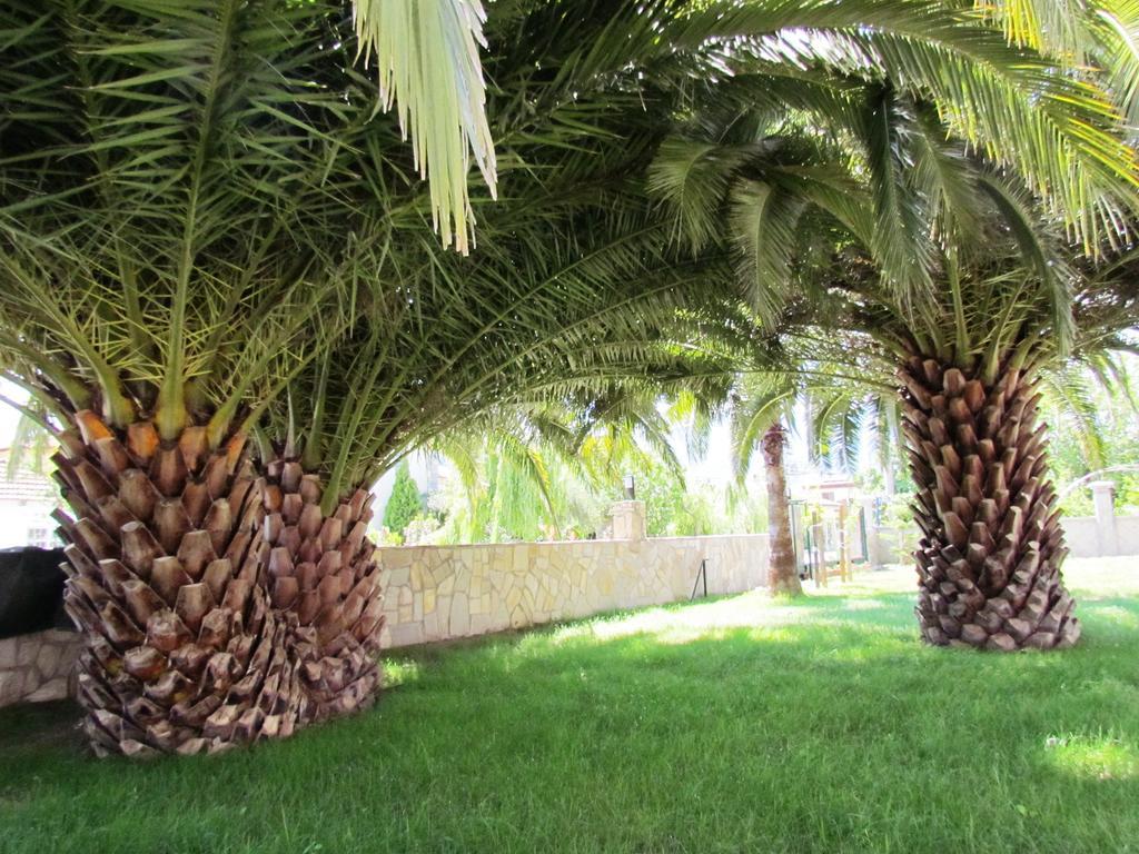 Dalyan Palmiye Resort Hotel Екстериор снимка