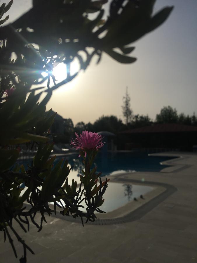 Dalyan Palmiye Resort Hotel Екстериор снимка